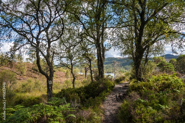 Obraz Glen Affic Scotland