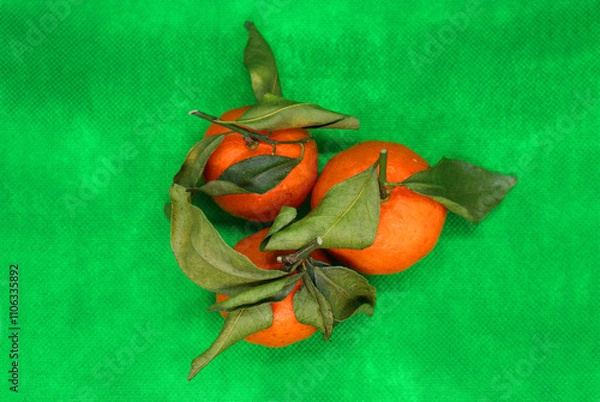Fototapeta Fresh tangerines with leaves on a colored background, fruits, vitamins.