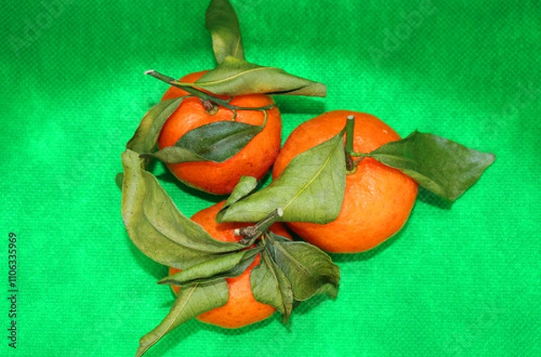 Fototapeta Fresh tangerines with leaves on a colored background, fruits, vitamins.