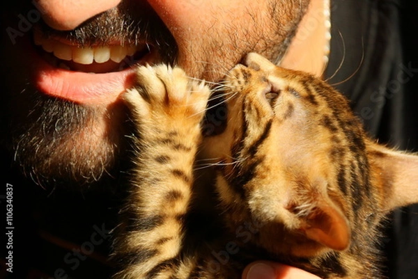 Fototapeta Spielende Katze