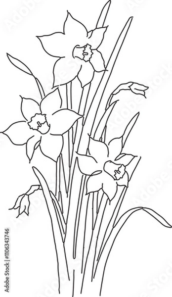 Fototapeta シンプルな水仙のイラスト