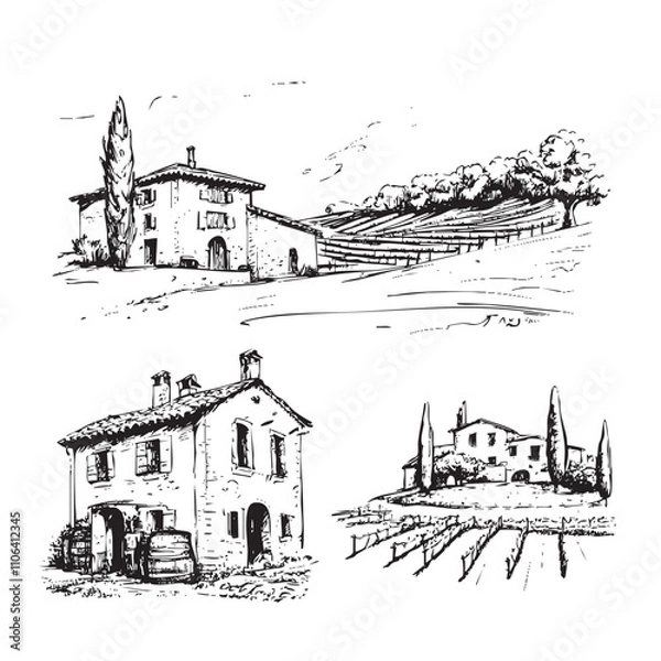 Obraz Vineyards landscapes sketched abstract digital illustration