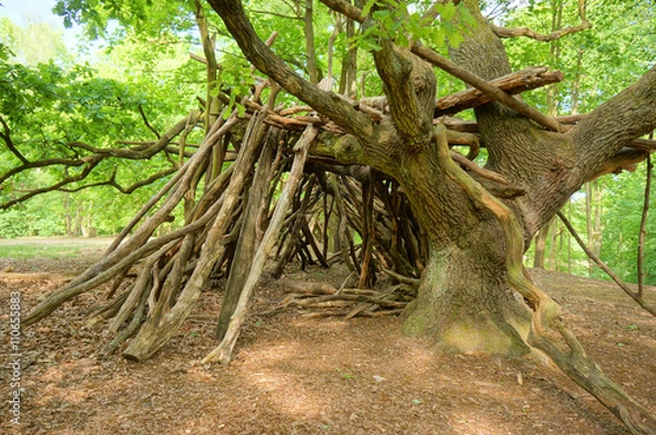 Obraz Abenteuerliche Holzhütte im Wald