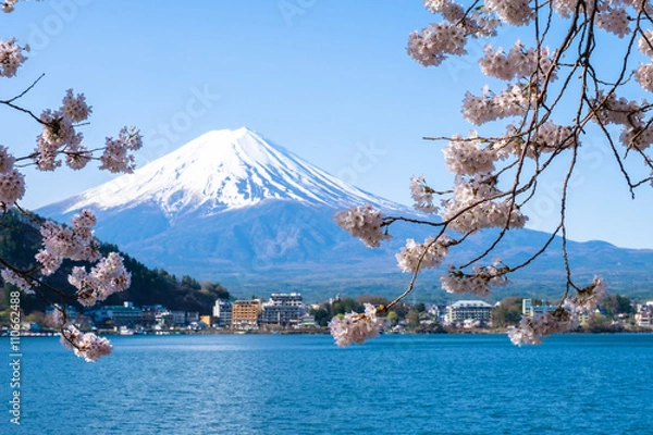 Obraz Mt.Fuji with Cherry blossom