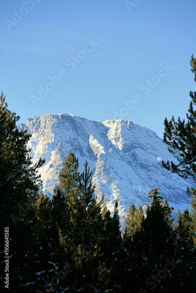 Obraz Mountain top thru trees