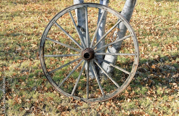 Obraz Old wood carriage wheel 