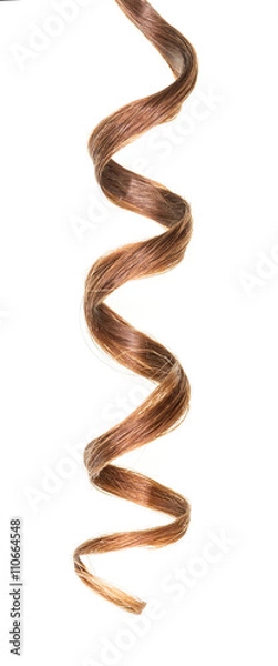 Fototapeta Lock of curly brown hair isolated on white background.