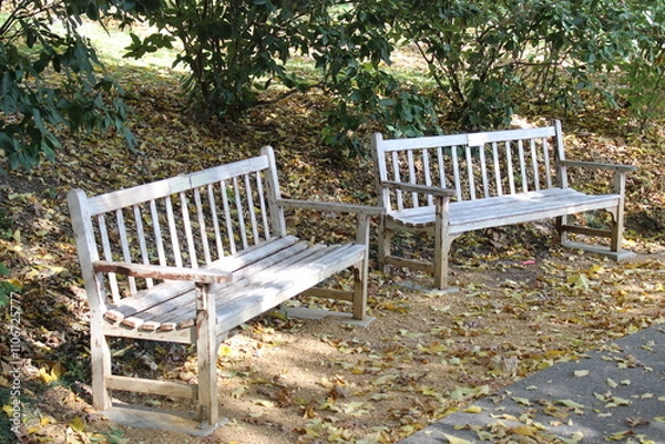 Obraz Park Benches