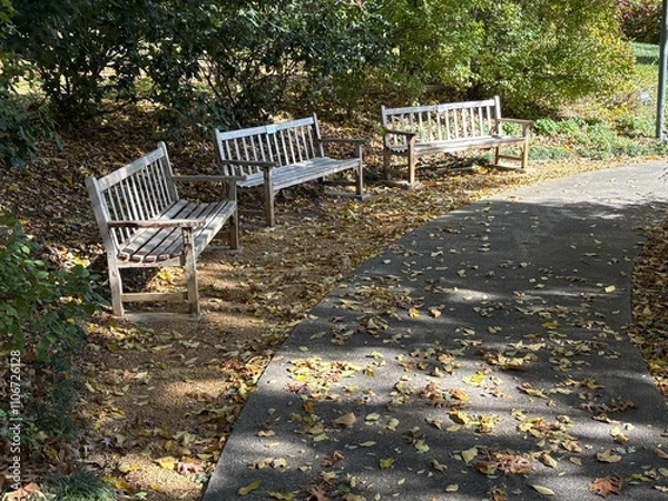 Obraz Benches along a path