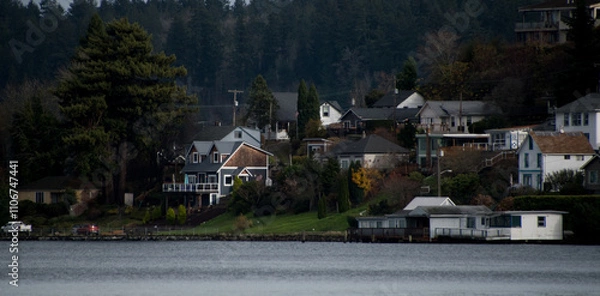 Obraz Houses between Bay Street and Sinclair Inlet, Port Orchard