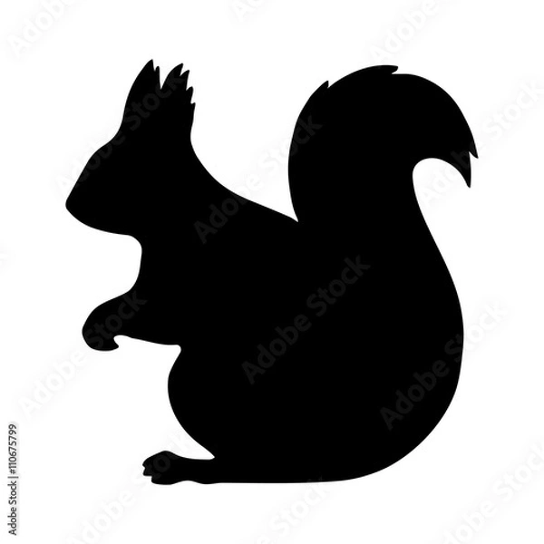 Obraz squirrel vector