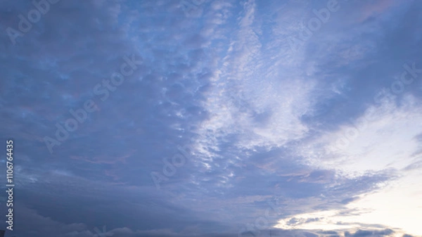 Fototapeta うろこ雲の空