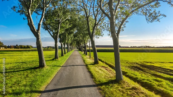 Fototapeta Bicycle lane and country road between trees aerial drone view from above, beautiful cycling path for bikes, typical countryside landscape of Netherlands