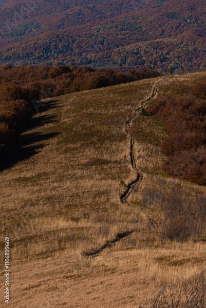 Obraz Green trail to Dział in Bieszczady Mountains, Poland. View from Mala Rawka. Bautiful autumn landscape