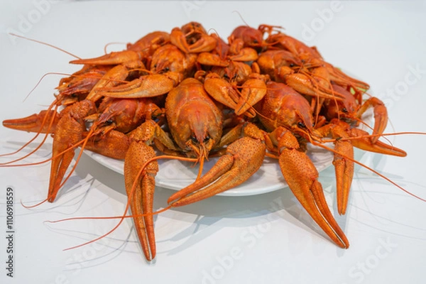 Obraz boiled crayfish on a white plate.