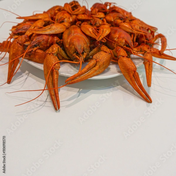 Obraz boiled crayfish on a white plate.
