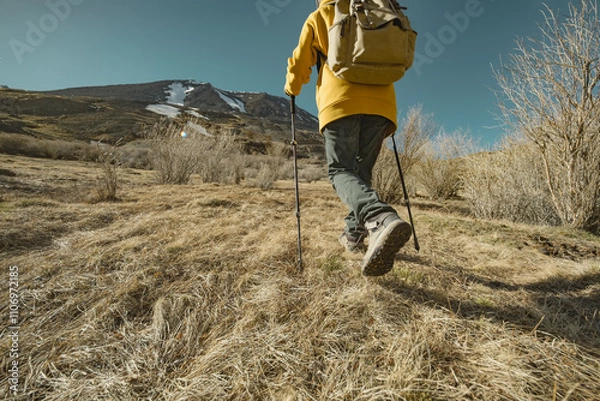 Fototapeta An explorer traveler goes uphill with a backpack and trekking poles over rough terrain. A tourist walks through the yellow grass into the mountains.