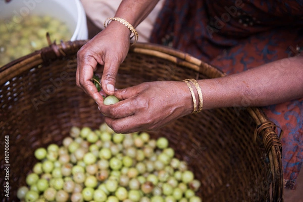 Obraz Gooseberry Being Sold