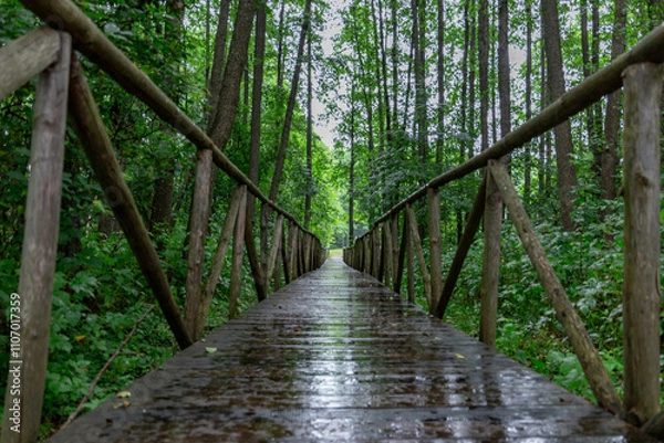 Fototapeta Wooden bridge in the forest on a rainy day