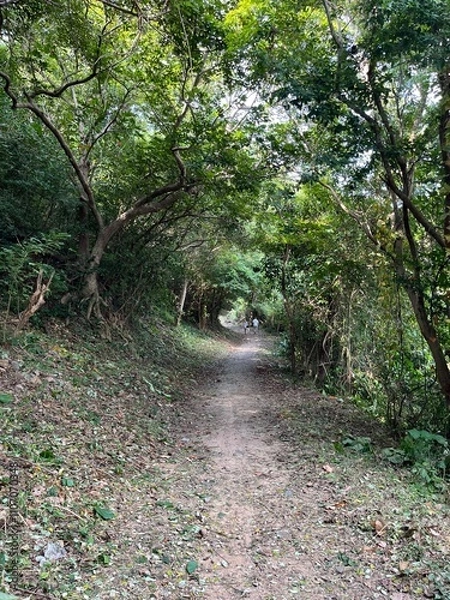 Fototapeta ブンタウの山道