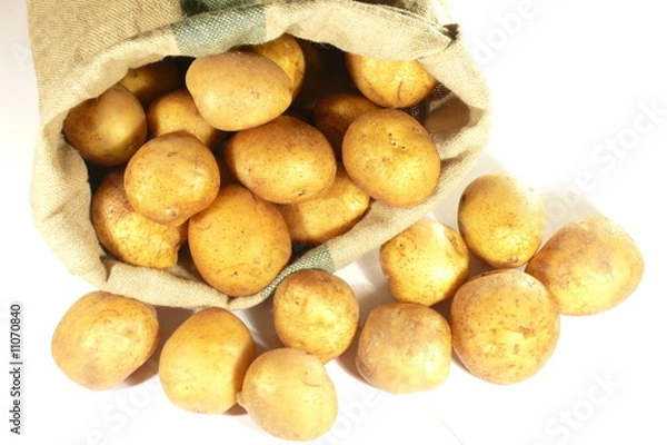 Obraz Potatoes in bag