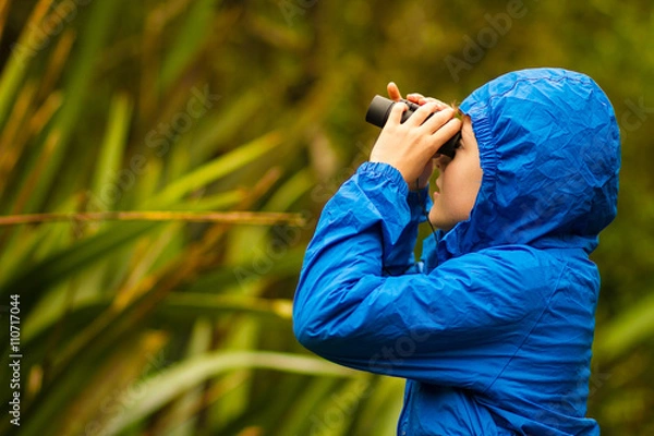 Obraz young boy bird watching in a forest