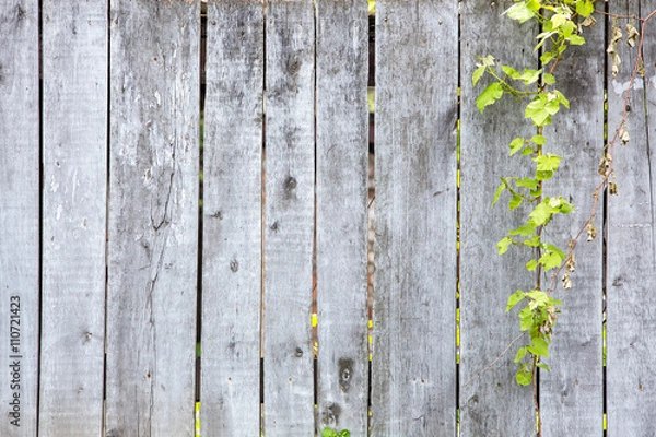 Obraz Old wooden background. boards