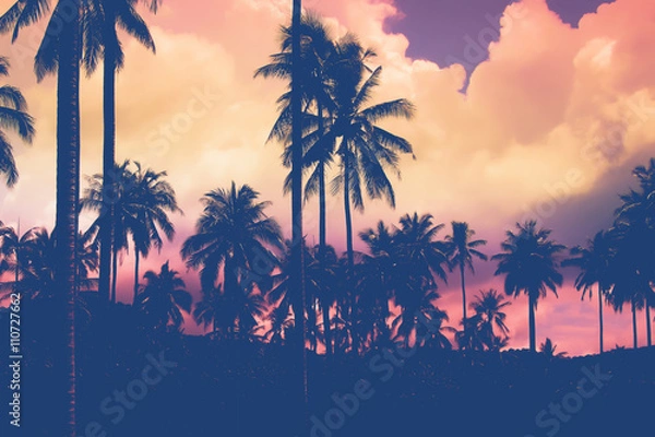 Obraz eautiful Silhouette palm tree sunset time