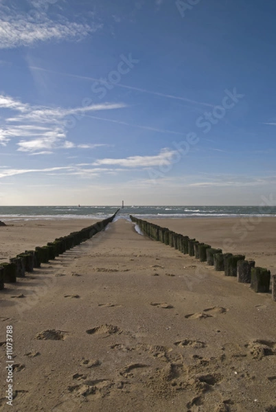 Obraz North Sea beach with breakwater,Netherlands