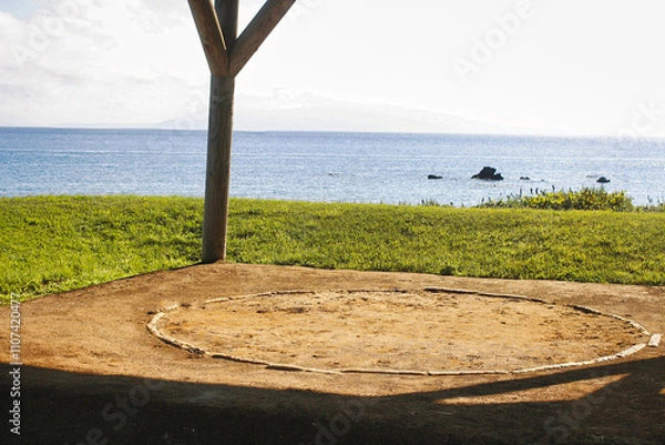 Obraz Dohyo and the sea