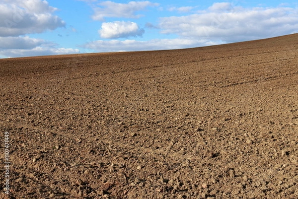 Fototapeta Feld abgeernted, fruchtbare erde, umgeackert, Landschaft 