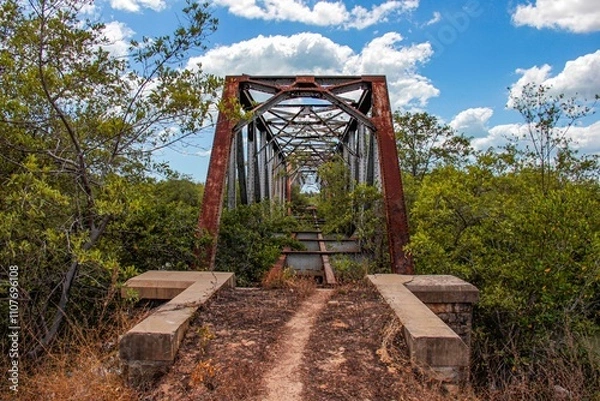 Fototapeta ponte velha