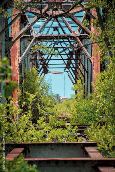 Fototapeta ponte velha
