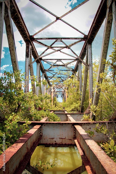 Fototapeta ponte velha