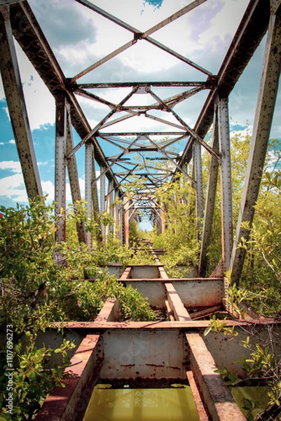 Fototapeta ponte velha