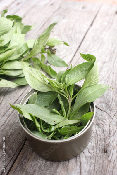 Fototapeta Basil leaf