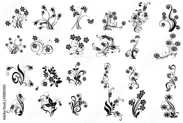 Obraz multifloral noir et fleurs