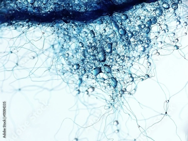 Obraz water drops on blue wool