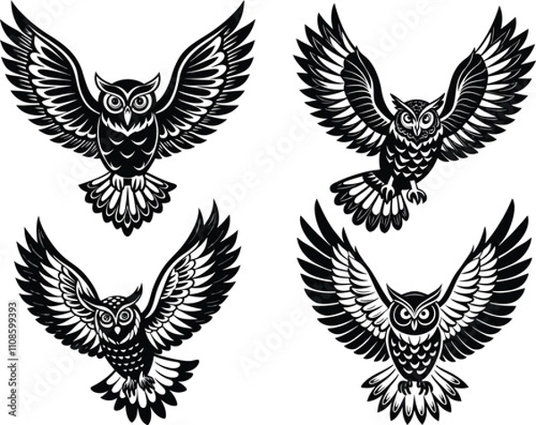 Obraz owl bird vector silhouette illustration