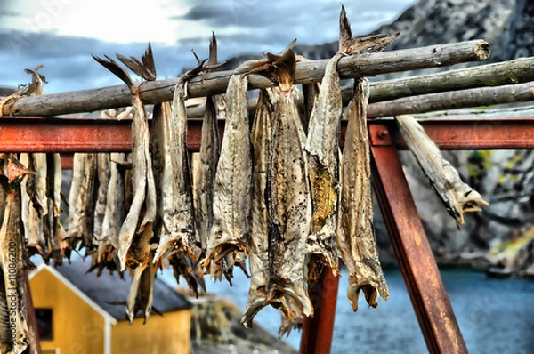 Fototapeta Sztokfisz