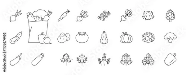 Obraz Vegetable, line icons - carrot, beet, onion, garlic, potatoes, pumpkin, cabbage, broccoli, pepper, zucchini, parsley, dill, cilantro and others. Full grocery bag. Linear illustration, editable stroke