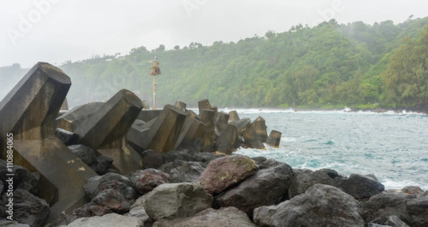 Obraz Tetrapod barrier at Laupahoehoe point