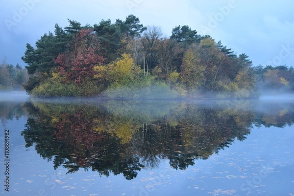 Fototapeta Closeup shot of growing vegetation reflecting in a clear lake on a foggy morning
