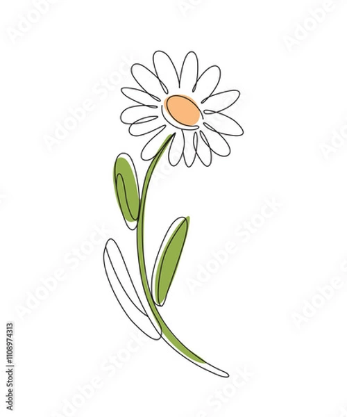 Fototapeta Single line art of daisy flower vector art illustration