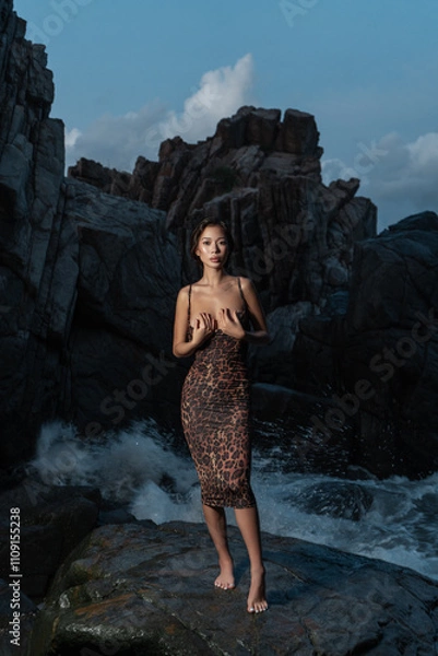Obraz Beautiful Asian girl on the rocks by the sea posing in a leopard print dress at night