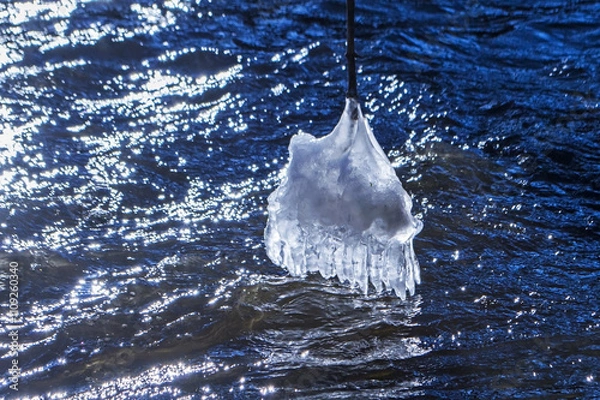 Obraz The art of water and frost. Icicles frozen on branches above the river.