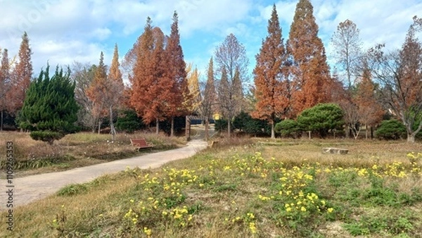 Obraz 창원 올림픽공원 국화공원