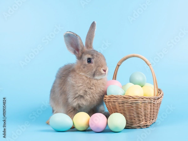 Fototapeta Gray cute rabbit with easter eggs in basket on blue screen background.