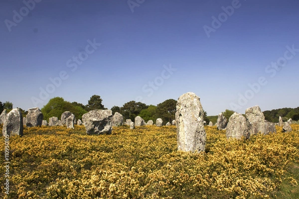 Fototapeta Menhirs de Carnac 