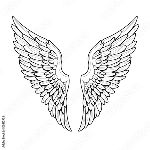 Obraz Vector outline wings on white background